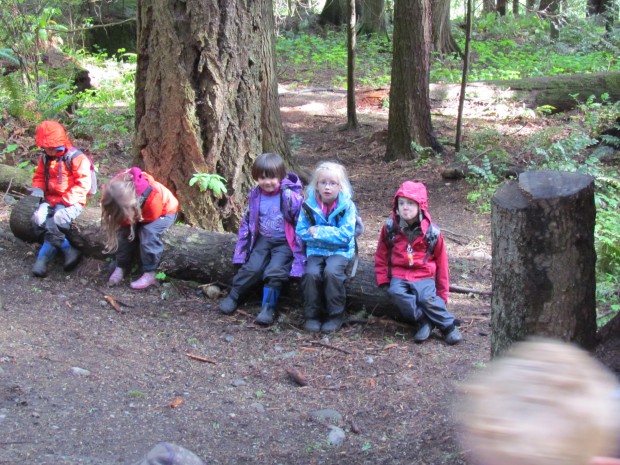 Envisioning a Nature Kindergarten | Green Teacher