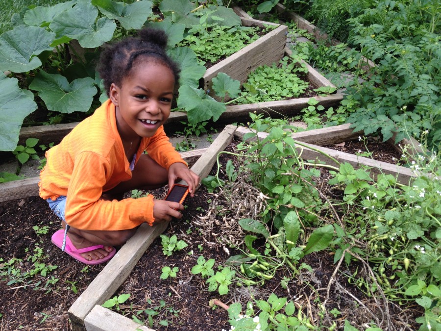 Best Practices for School Gardens | Green Teacher